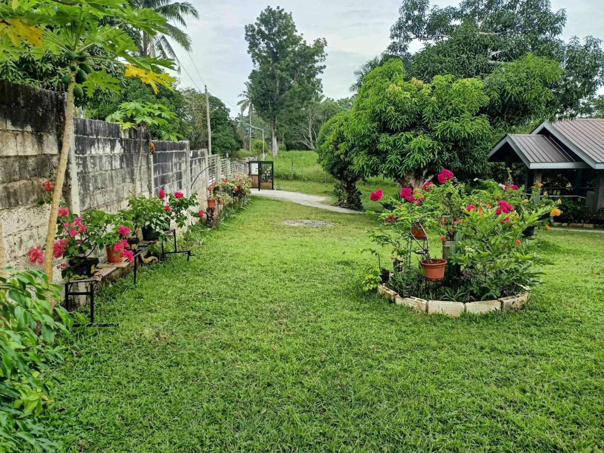 Balai Mariacaria Pension House Guindulman Exterior photo
